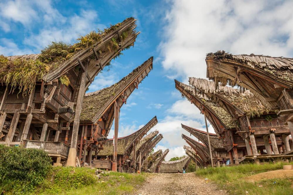 Sugi House Toraja - Villa Penginapan Sewa Harian 兰特包 外观 照片